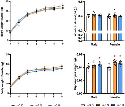 Paternal preconceptional diet enriched with n-3 polyunsaturated fatty acids affects offspring brain function in mice